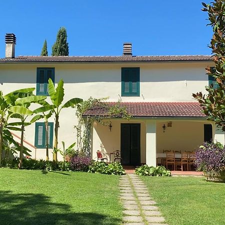 Casa Del Pino Bed & Breakfast Borgo a Buggiano Ngoại thất bức ảnh