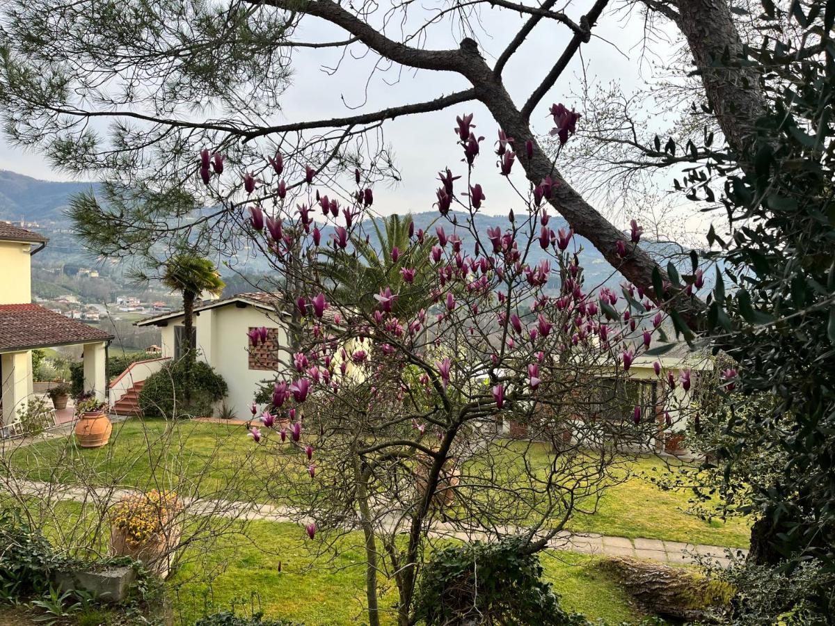 Casa Del Pino Bed & Breakfast Borgo a Buggiano Ngoại thất bức ảnh