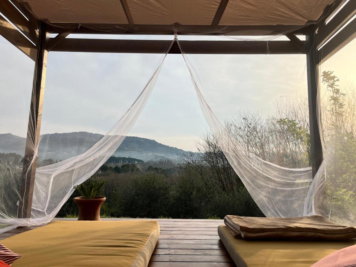 Casa Del Pino Bed & Breakfast Borgo a Buggiano Ngoại thất bức ảnh