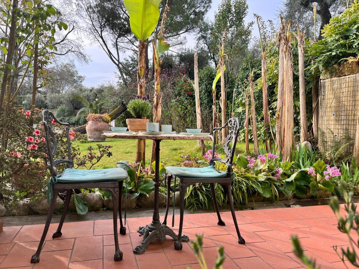 Casa Del Pino Bed & Breakfast Borgo a Buggiano Ngoại thất bức ảnh