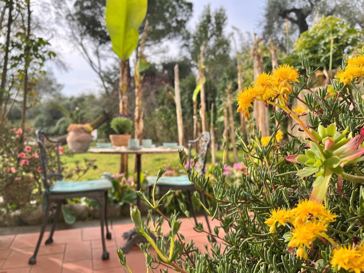 Casa Del Pino Bed & Breakfast Borgo a Buggiano Ngoại thất bức ảnh
